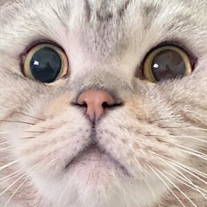 Meet your Posher, Kari